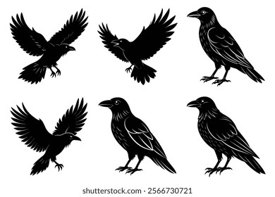 Set of Raven silhouette vector art. Crow bird icon illustration	