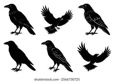 Set of Raven silhouette vector art. Crow bird icon illustration	