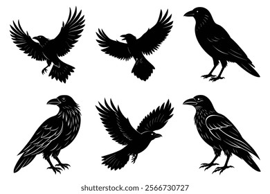 Set of Raven silhouette vector art. Crow bird icon illustration	