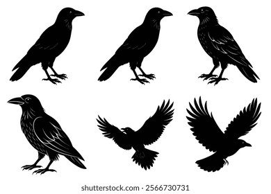 Set of Raven silhouette vector art. Crow bird icon illustration	