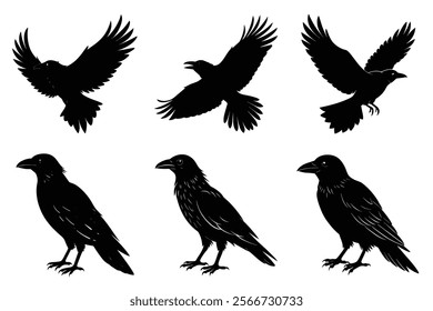 Set of Raven silhouette vector art. Crow bird icon illustration	