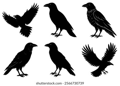 Set of Raven silhouette vector art. Crow bird icon illustration	