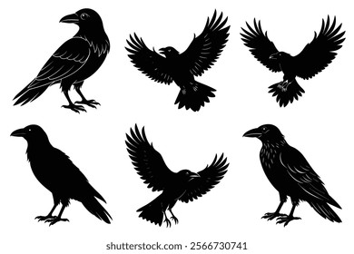 Set of Raven silhouette vector art. Crow bird icon illustration	