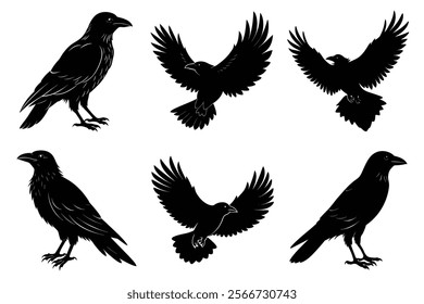 Set of Raven silhouette vector art. Crow bird icon illustration	