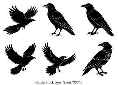 Set of Raven silhouette vector art. Crow bird icon illustration	