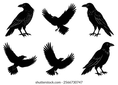 Set of Raven silhouette vector art. Crow bird icon illustration	