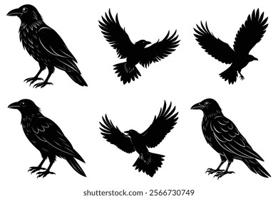 Set of Raven silhouette vector art. Crow bird icon illustration	