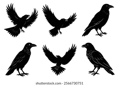 Set of Raven silhouette vector art. Crow bird icon illustration	