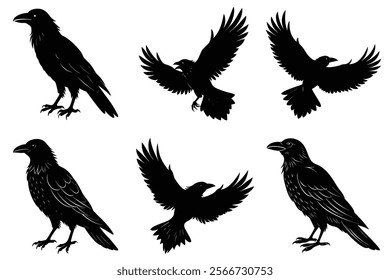 Set of Raven silhouette vector art. Crow bird icon illustration	