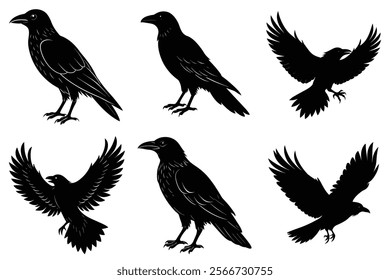 Set of Raven silhouette vector art. Crow bird icon illustration	