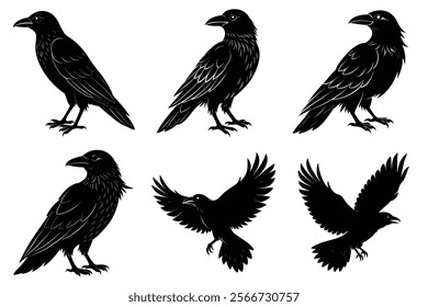 Set of Raven silhouette vector art. Crow bird icon illustration	