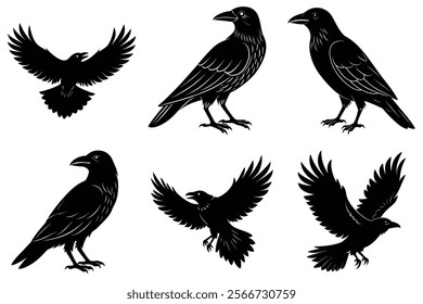 Set of Raven silhouette vector art. Crow bird icon illustration	