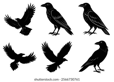 Set of Raven silhouette vector art. Crow bird icon illustration	