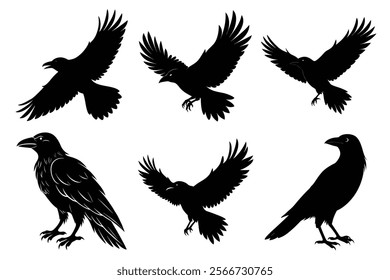 Set of Raven silhouette vector art. Crow bird icon illustration	