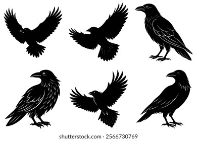 Set of Raven silhouette vector art. Crow bird icon illustration	