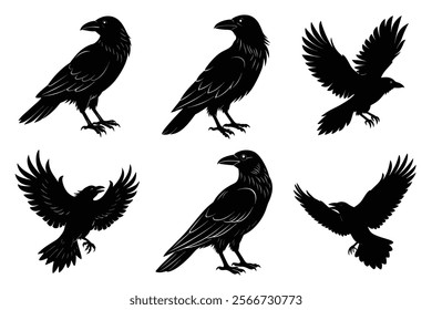 Set of Raven silhouette vector art. Crow bird icon illustration	