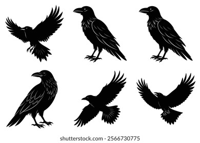 Set of Raven silhouette vector art. Crow bird icon illustration	