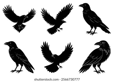 Set of Raven silhouette vector art. Crow bird icon illustration	