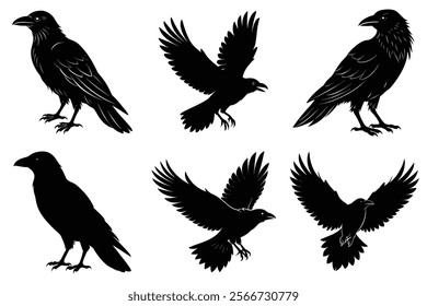 Set of Raven silhouette vector art. Crow bird icon illustration	