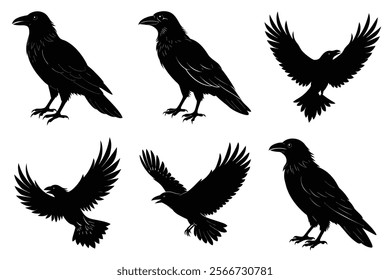 Set of Raven silhouette vector art. Crow bird icon illustration	