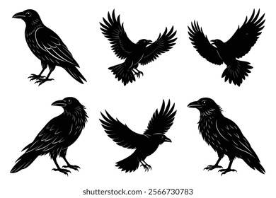 Set of Raven silhouette vector art. Crow bird icon illustration	