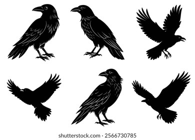 Set of Raven silhouette vector art. Crow bird icon illustration	