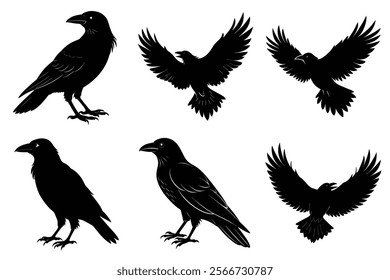 Set of Raven silhouette vector art. Crow bird icon illustration	