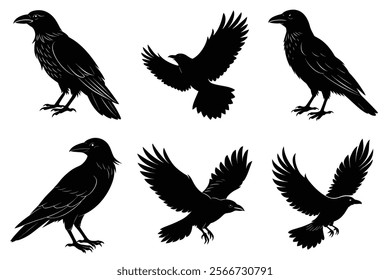 Set of Raven silhouette vector art. Crow bird icon illustration	