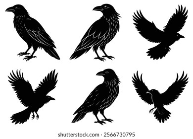 Set of Raven silhouette vector art. Crow bird icon illustration	