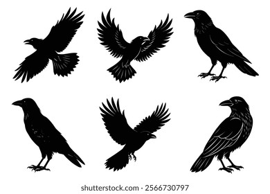 Set of Raven silhouette vector art. Crow bird icon illustration	