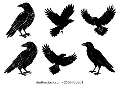 Set of Raven silhouette vector art. Crow bird icon illustration	