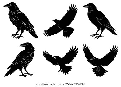 Set of Raven silhouette vector art. Crow bird icon illustration	