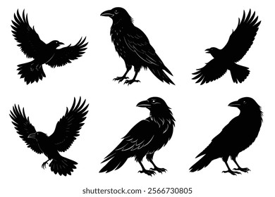 Set of Raven silhouette vector art. Crow bird icon illustration	