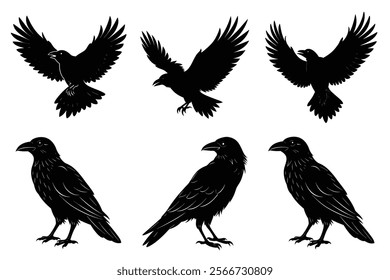 Set of Raven silhouette vector art. Crow bird icon illustration	