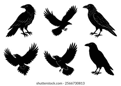 Set of Raven silhouette vector art. Crow bird icon illustration	