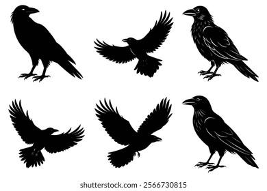 Set of Raven silhouette vector art. Crow bird icon illustration	