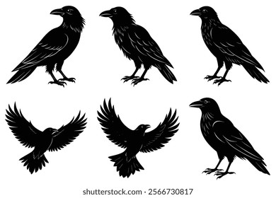 Set of Raven silhouette vector art. Crow bird icon illustration	