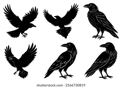 Set of Raven silhouette vector art. Crow bird icon illustration	