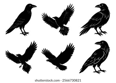 Set of Raven silhouette vector art. Crow bird icon illustration	