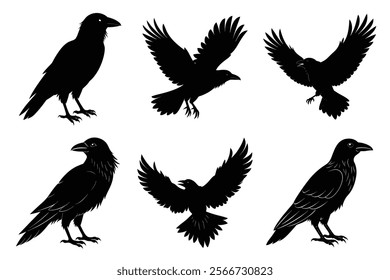 Set of Raven silhouette vector art. Crow bird icon illustration	