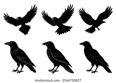 Set of Raven silhouette vector art. Crow bird icon illustration	