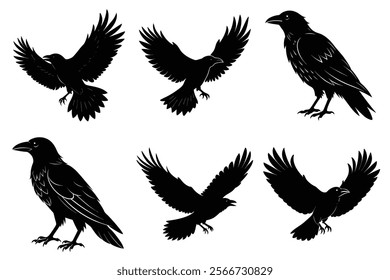 Set of Raven silhouette vector art. Crow bird icon illustration	