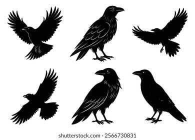 Set of Raven silhouette vector art. Crow bird icon illustration	