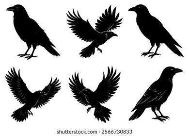 Set of Raven silhouette vector art. Crow bird icon illustration	