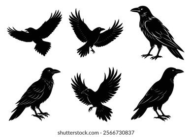 Set of Raven silhouette vector art. Crow bird icon illustration	