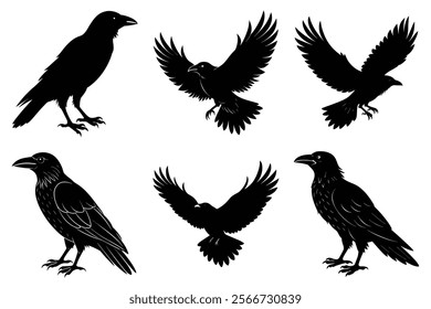 Set of Raven silhouette vector art. Crow bird icon illustration	