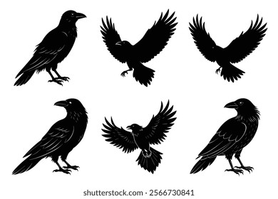 Set of Raven silhouette vector art. Crow bird icon illustration	