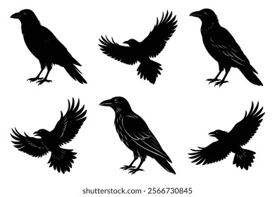 Set of Raven silhouette vector art. Crow bird icon illustration	