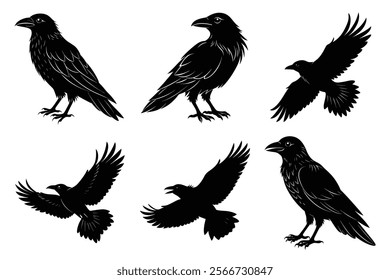 Set of Raven silhouette vector art. Crow bird icon illustration	