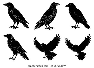 Set of Raven silhouette vector art. Crow bird icon illustration	